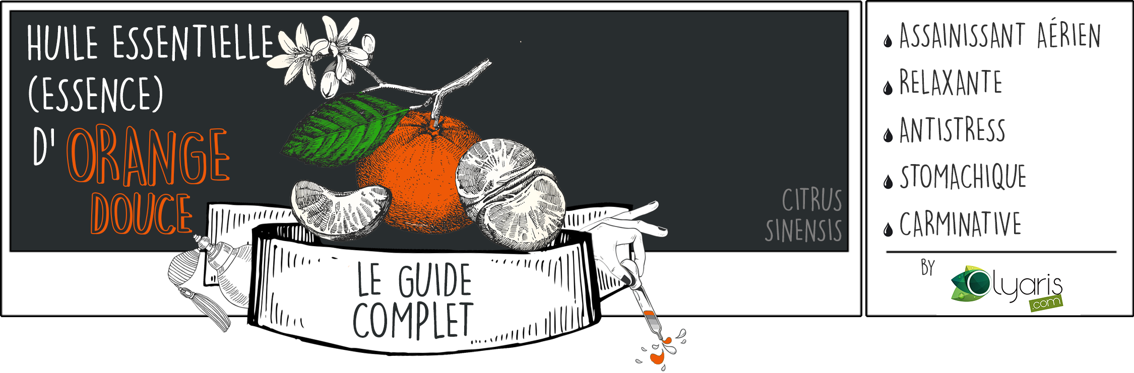Huile Essentielle d'Orange Douce : le Guide Complet par Olyaris